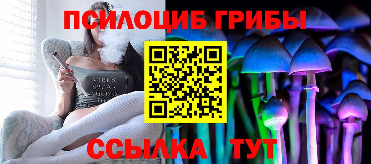 Алапаевск  Псилоцибиновые грибы прущие грибы  Вход с VPN 