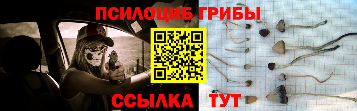 Галлюциногенные грибы Cubensis Алапаевск